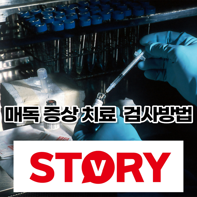 매독이란? 매독 증상 치료 검사방법 (Ft : 매독 감염경로) - 스토리브이 Story-V