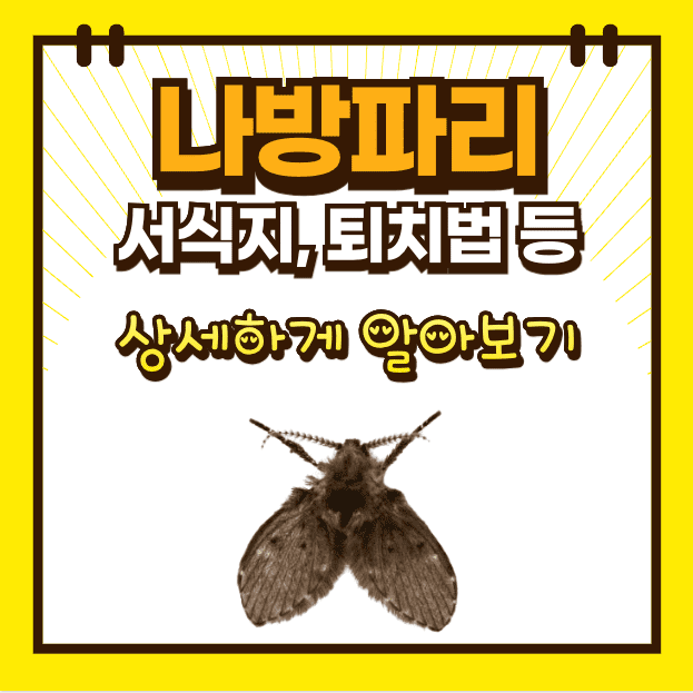 ?Scode=Mtistory2&Fname=Https:%2F%2Fblog.Kakaocdn.Net%2Fdn%2Fcxtlts ...
