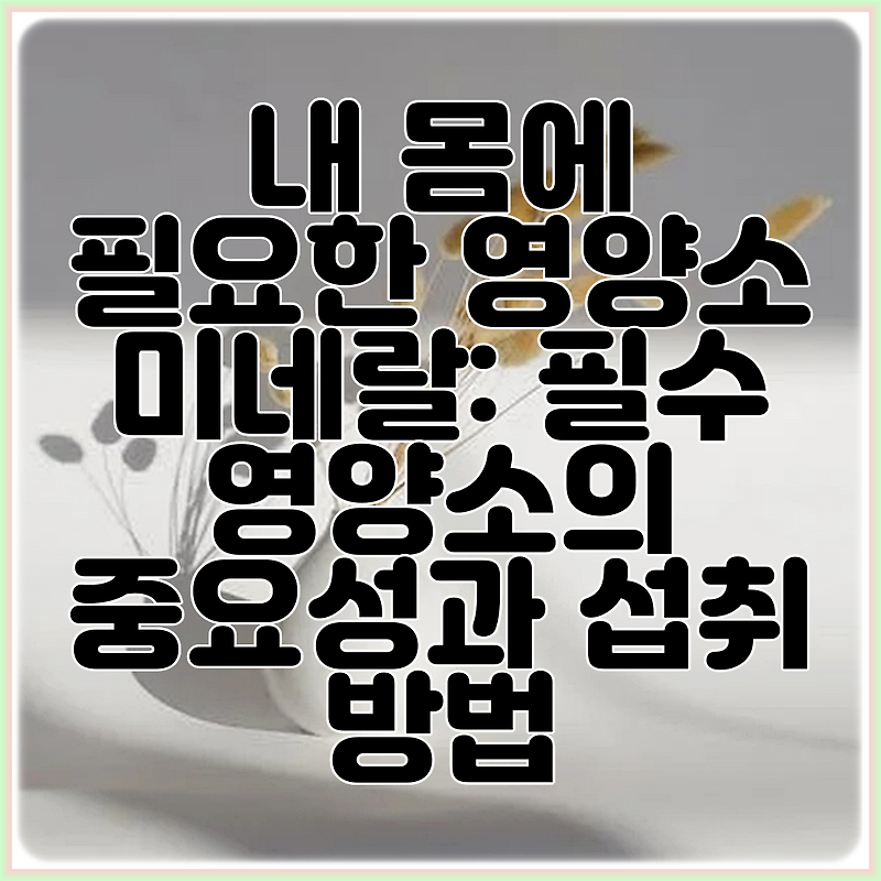 내 몸에 필요한 영양소 미네랄: 필수 영양소의 중요성과 섭취 방법