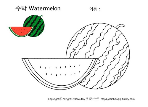 무료 색칠 공부 - 수박