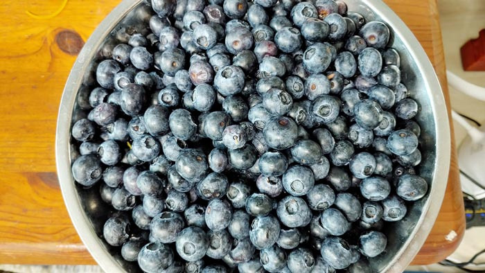 눈에 좋은 음식 블루베리 효능 먹는 2