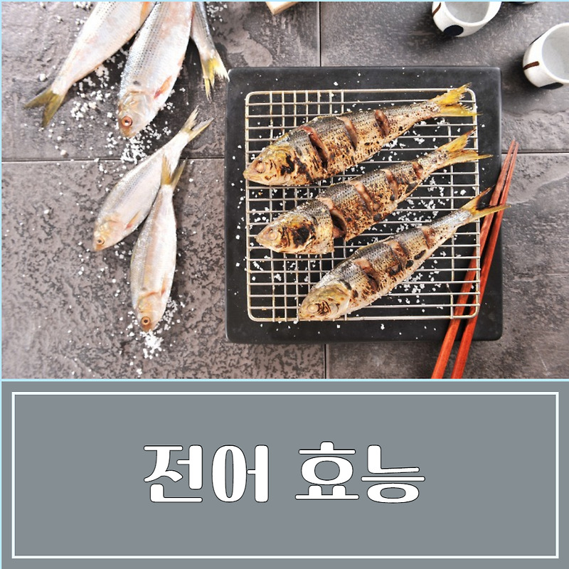 전어 효능 5가지 및 부작용 알아보기