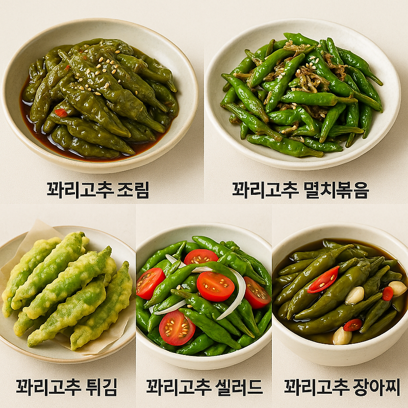 꽈리고추 요리 레시피 BEST 5 모음🌶️