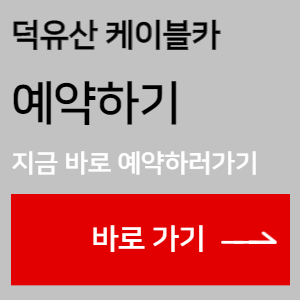 덕유산 케이블카 예약 바로가기 사이트 안내