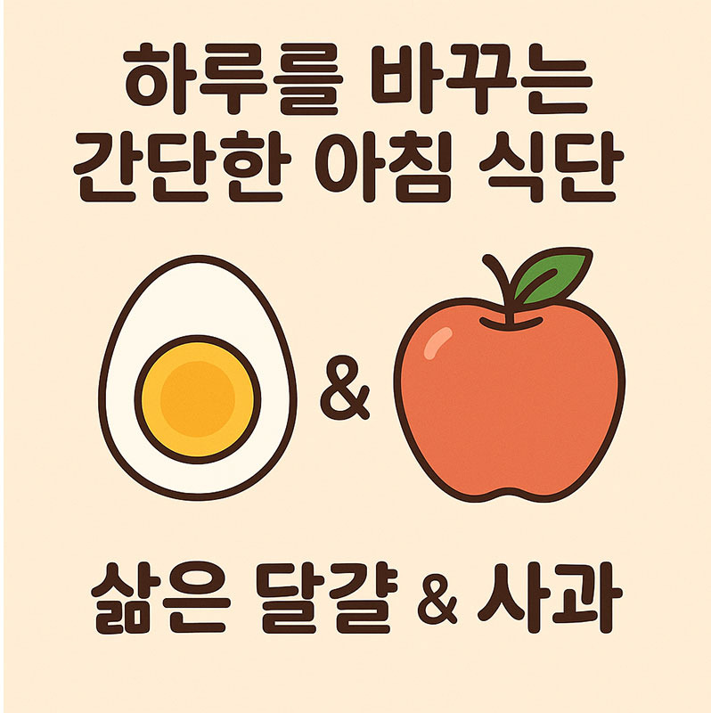 아침 한 끼 - 삶은 달걀 두 개와 사과 한 개면 충분 해요.