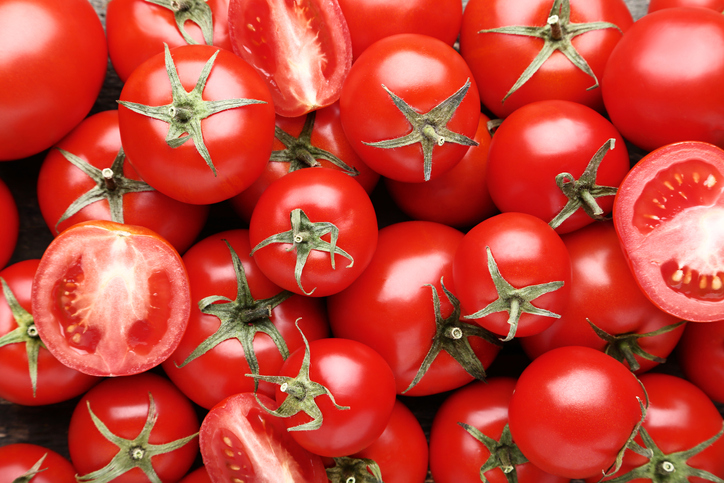 스테비아 토마토 효능6가지, 부작용, 재배방법에 대해서 알아보자.