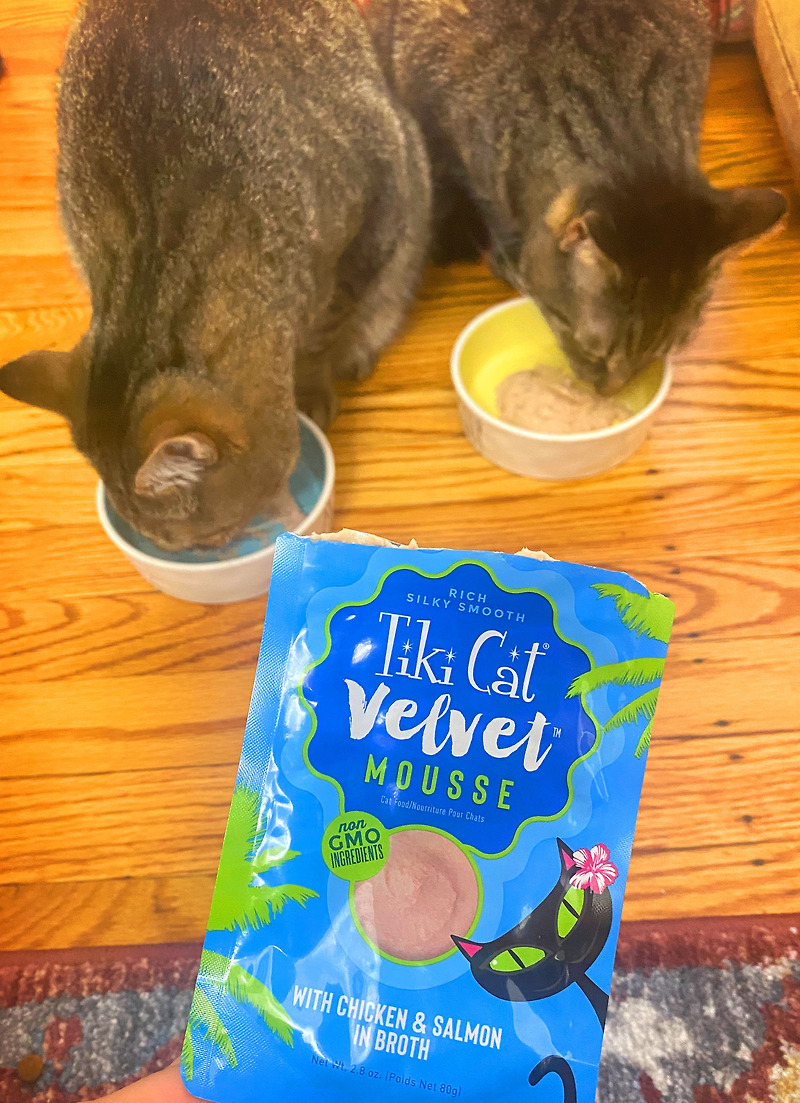 Jennie’s [냥템] Tiki Cat Velvet Mousse, 티키캣 벨벳 무스 후기