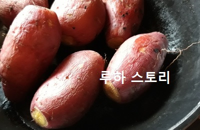 고구마 칼로리 높을까