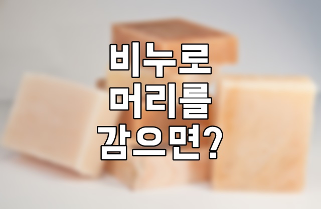 비누로 머리 감으면 어떨까?