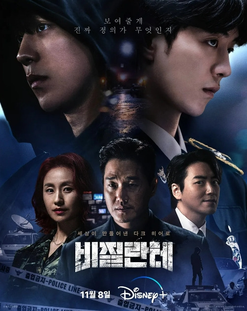 비질란테 등장인물, 비질란테 뜻