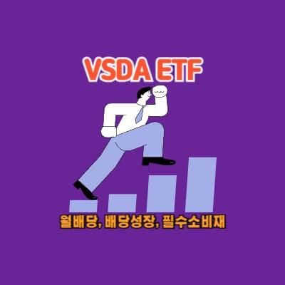 미국 월배당 배당성장 필수소비재 ETF VSDA