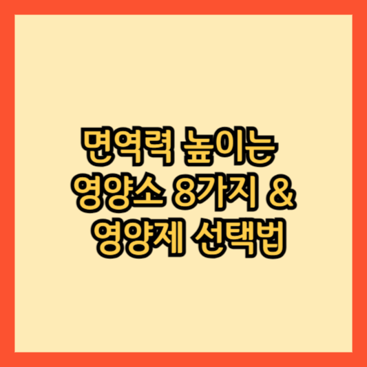 면역력 높이는 필수 영양소 8가지 & 영양제 선택법