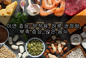 아연 효능, 부작용, 하루 권장량, 부족 증상, 많은 음식 :: 세상의 모든 정보