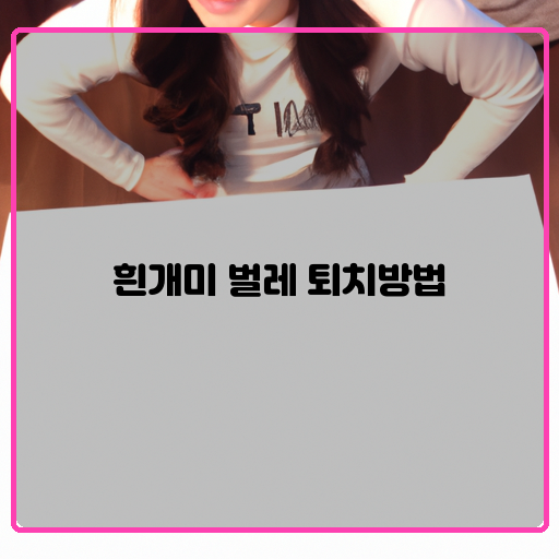 흰개미 벌레 퇴치방법 쉽고 효과적인 6가지