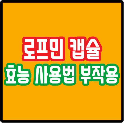 로프민 캡슐 가격 복용법