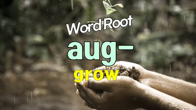 English Root Word Aug Auct From Latin Augur Auctor Auctio Auctus Augere