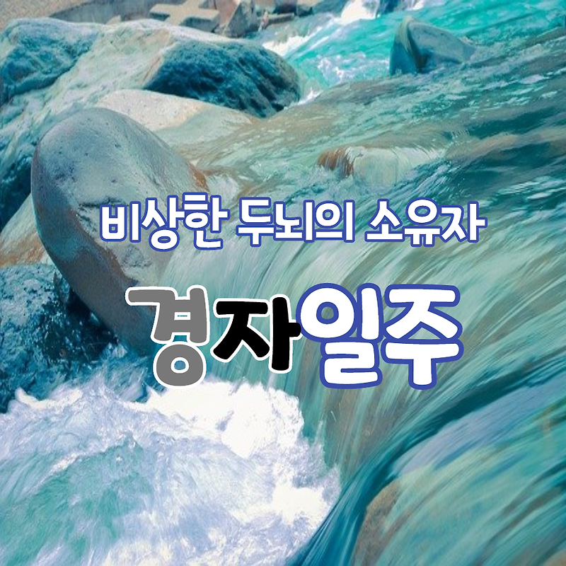 37. 비상한 두뇌의 소유자, 경자일주