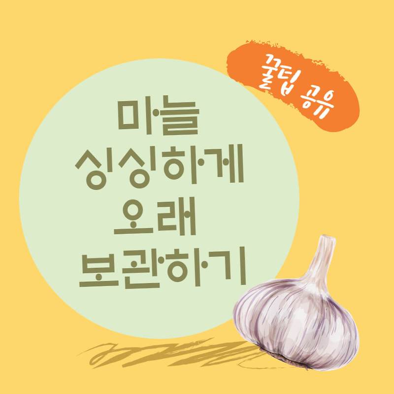 마늘 보관 꿀팁! 싱싱하게 오래 보관하는 법 - 쉿~ 너만 알려줄게~! 단 3분 만에 알려주는 