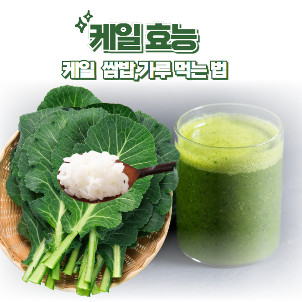 케일 효능과 케일 쌈밥,가루 먹는 법