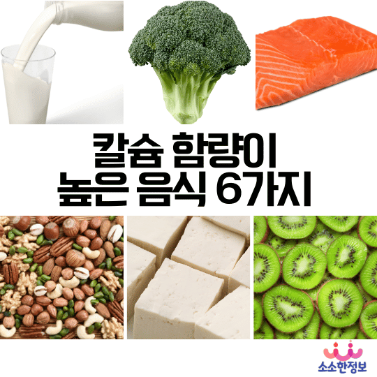 칼슘 함량이 높은 음식 6가지 , 칼슘 흡수율을 높이는 방법