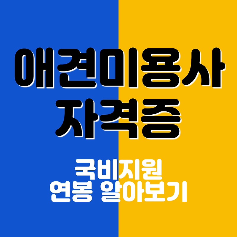 애견미용자격증 국비 지원금액 취업률 조사