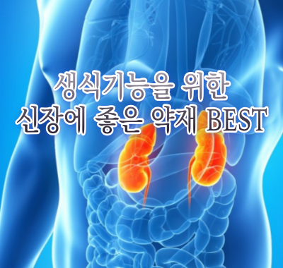 생식기능을 위한 신장에 좋은 약재 BEST