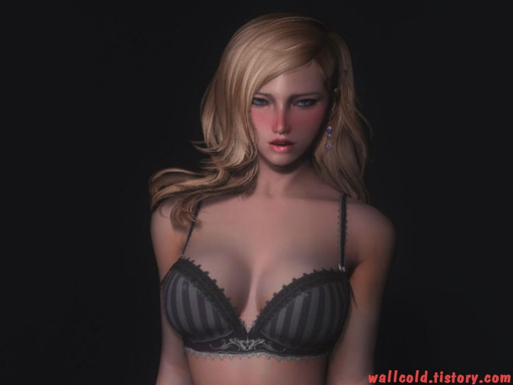 스카이림 의상 이너웨어 의상 Amk Border Lace Lingerie Skyrim Mod