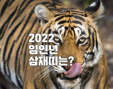 2022년 무슨해, 무슨띠 일까? 임인년 삼재띠 알아보기