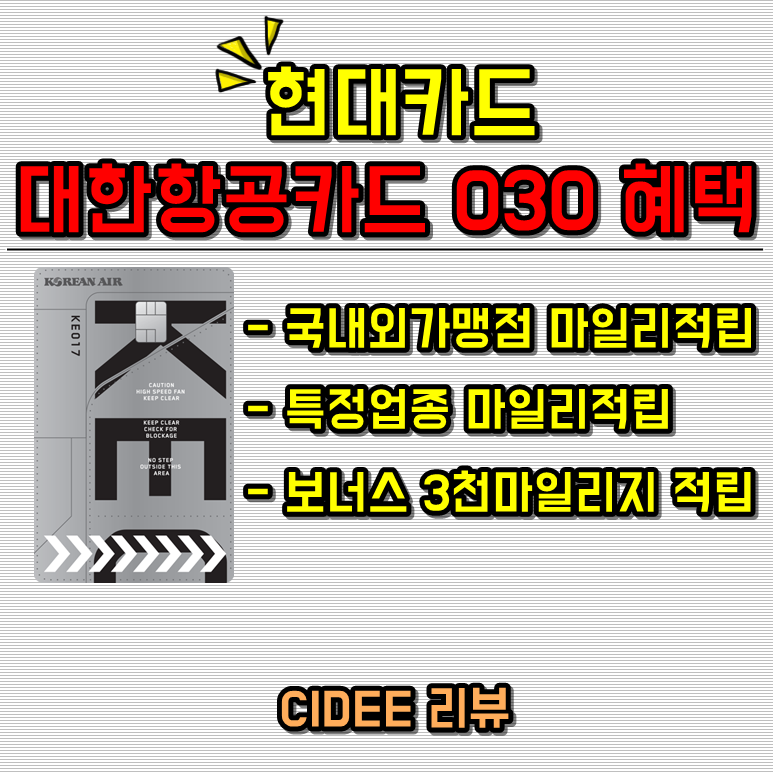 해외여행카드! 해외결제카드(대한항공마일리지) : 현대카드, 대한항공카드030(신용카드해외결제수수료) 12