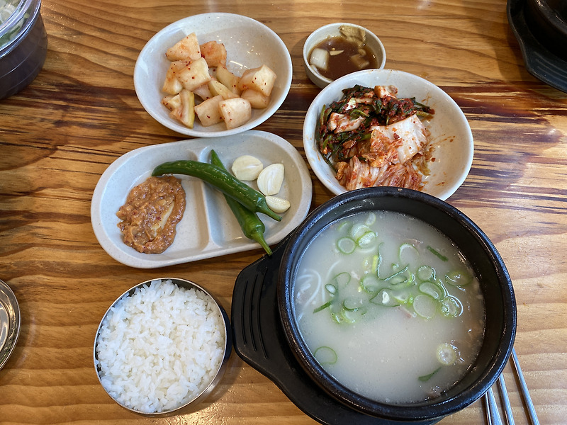 [공덕역] 마포양지설렁탕 - 미쉐린 가이드에 선정된 40년 전통 설렁탕 맛집 추천! 맛도 챙기고 면역력도 여기서 챙기세요 :)