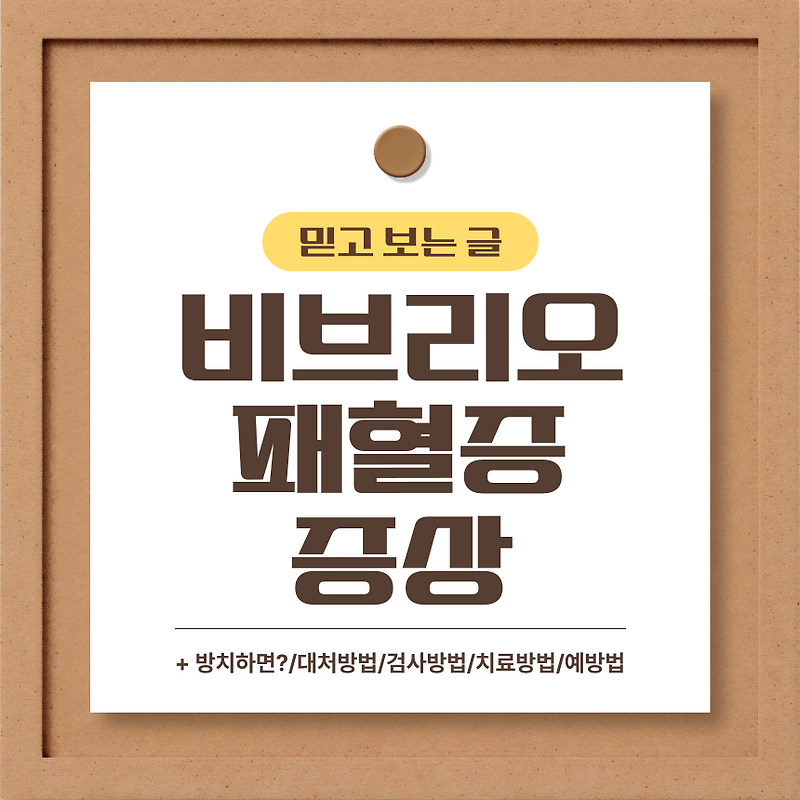 비브리오 패혈증 증상 알아보기