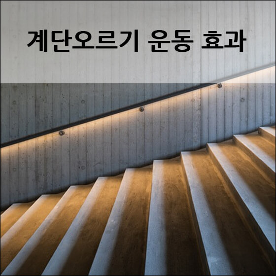 계단오르기 운동 효과 알아보기 - 앰버 D 팩토리