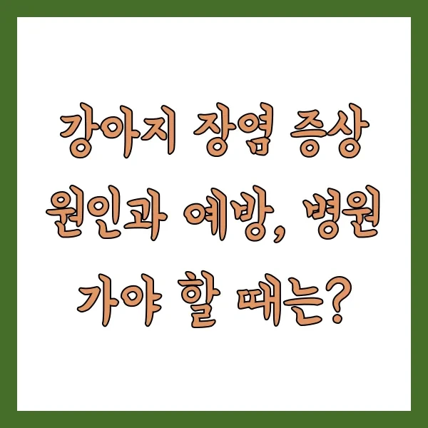강아지 장염 증상 원인과 예방, 병원 가야 할 때는?