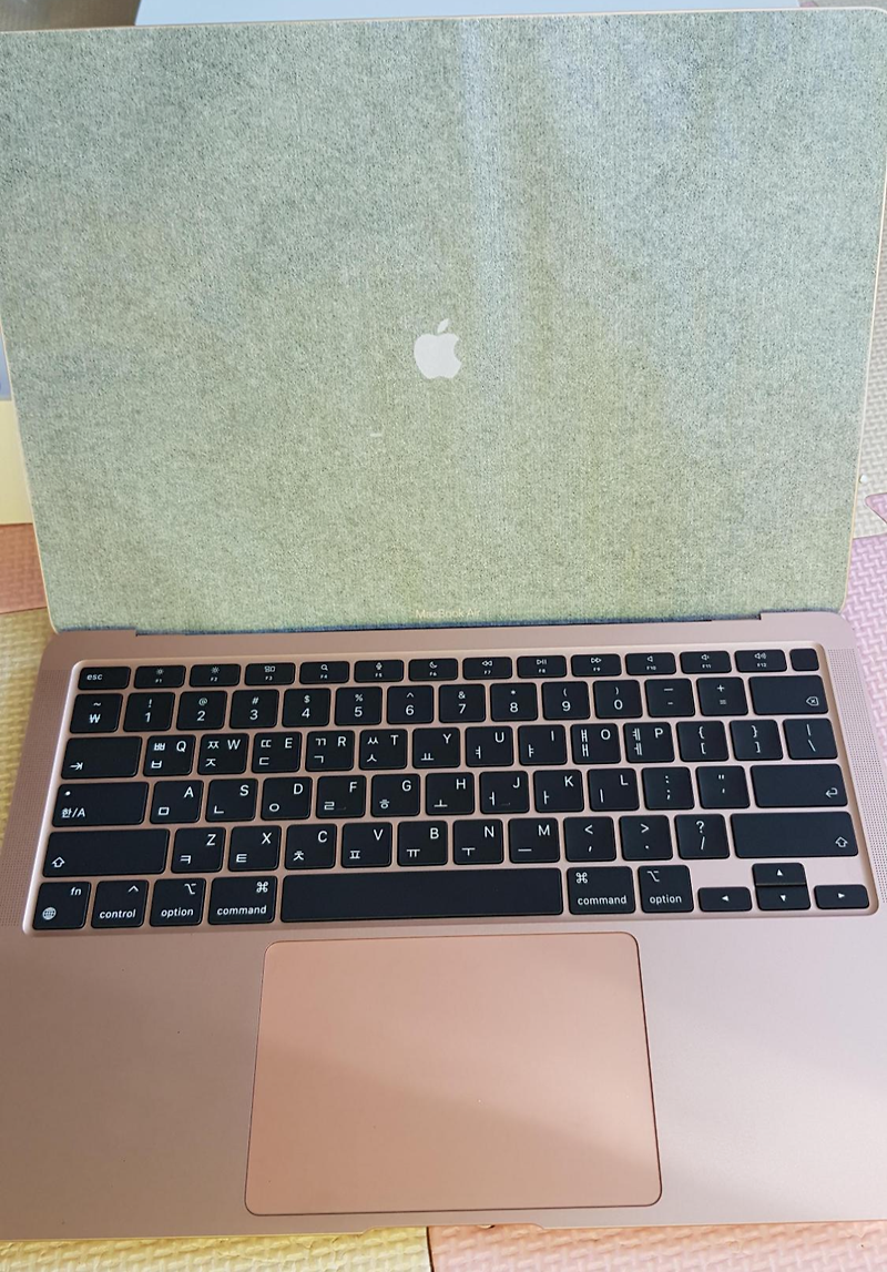 IT) 맥북 에어 M1 골드 개봉기! (Mac book air M1 Gold)