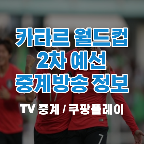 2022 카타르 월드컵 2차 예선 중계 방송 보는법 (+정보 일정 축구 ...