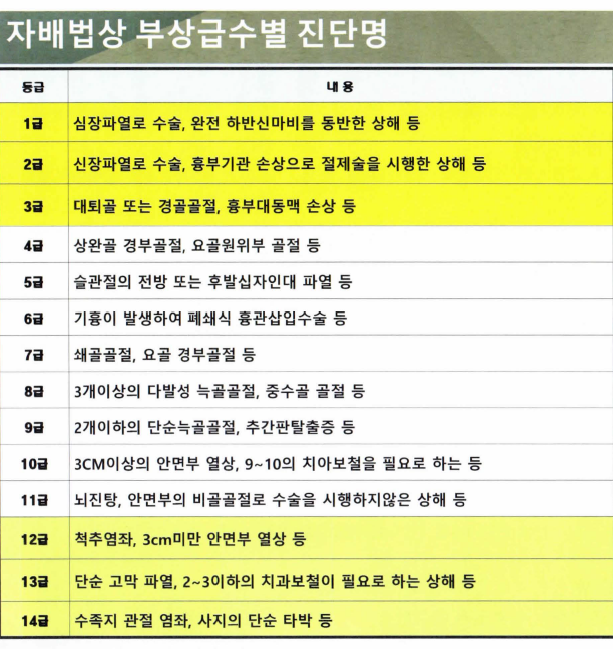 자동차사고 부상등급표 - <출처>자동차손해배상보장법 시행령 제3조 제1항 제2호 및 [별표1] – 파이어족 메모장인 & 봄이네가족” style=”width:100%”><figcaption>자동차사고 부상등급표 – <출처>자동차손해배상보장법 시행령 제3조 제1항 제2호 및 [별표1] – 파이어족 메모장인 & 봄이네가족</figcaption></figure>
<p style=