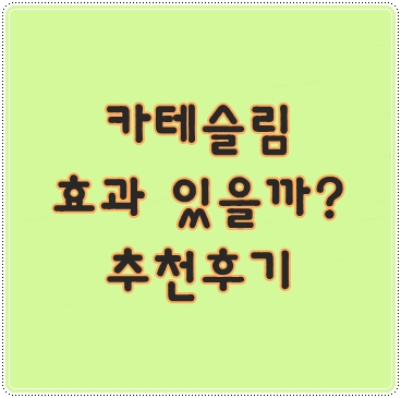 카테슬림 효과 있을까? 추천후기 :: 바람부는대로