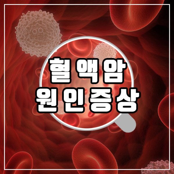 혈액암 초기증상 확실하게 알고 대처해요 4