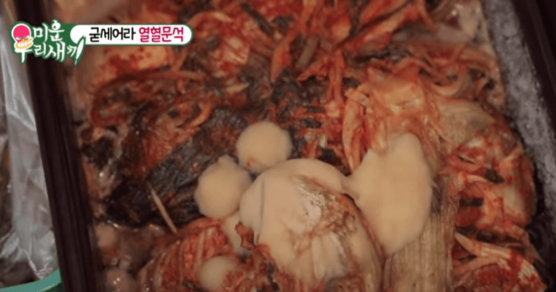 배추에 있는 검은반점이 있다면? 김치에 흰곰팡이가 생겼다면?(골마지)