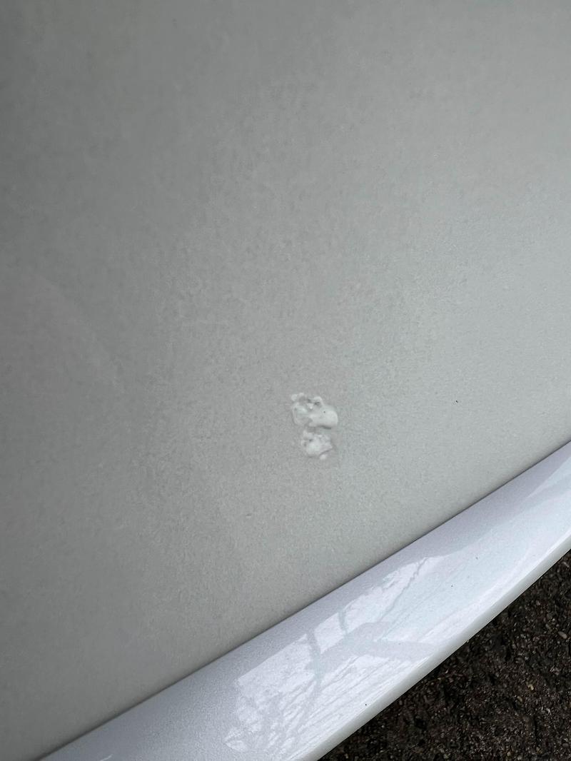 테슬라 모델 3 Pearl White 펄 화이트 페인트 터치 업