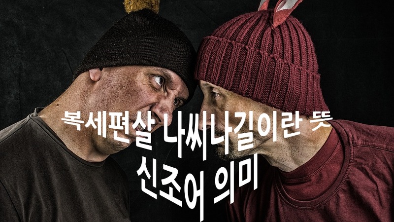 복세편살 나씨나길이란 뜻, 신조어 의미 :: 키스뉴스