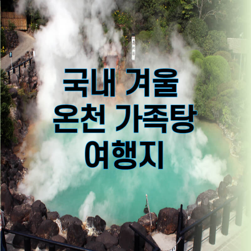 비대면 국내 겨울 온천 가족탕 여행지 시리즈 2 대전 유성온천 :: 디지털노마드-디노스토리