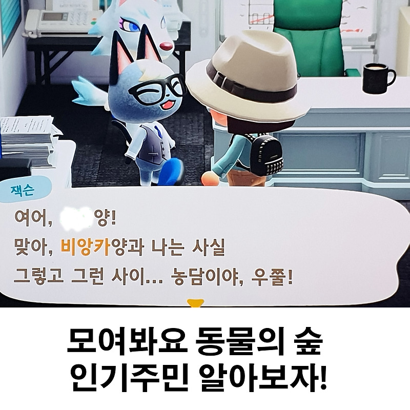 여니의하루 :: 모여봐요 동물의 숲 인기 주민 순위 , 주민 이사 잭슨, 쭈니, 비앙카, 뽀야미 데려오기