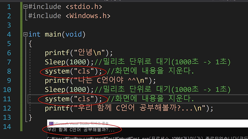 C언어 - [화면지우기, 잠시대기, Sleep, cls, Windows.h]