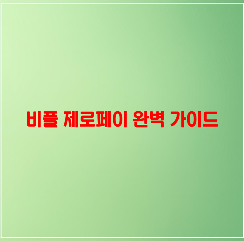 비플 제로페이 완벽 가이드 사용법 사용처 혜택 총정리