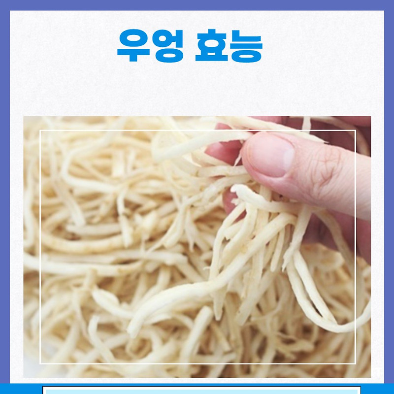 우엉 효능 부작용 칼로리 우엉차효능 임산부