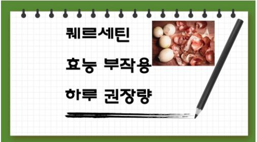 퀘르세틴 (quercetin, 케르세틴) 효능 부작용 하루 권장 섭취량