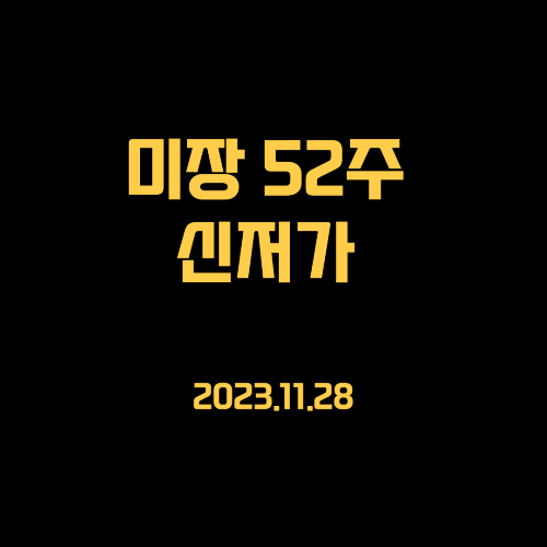 23.11.28 미국주식 신저가