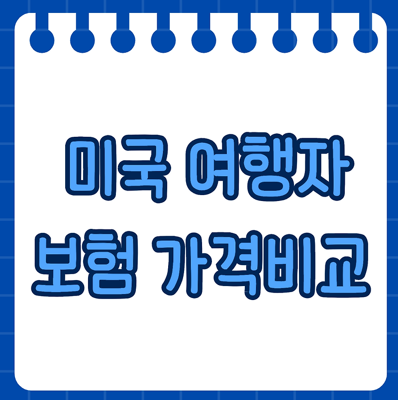 미국 여행자보험 가격비교 - 인터넷 가입 필수 체크리스트
