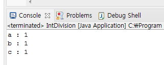 [JAVA] int변수를 나누었을 때 나누어떨어지지 않는 경우/나머지가 생기는 경우 결과값은
